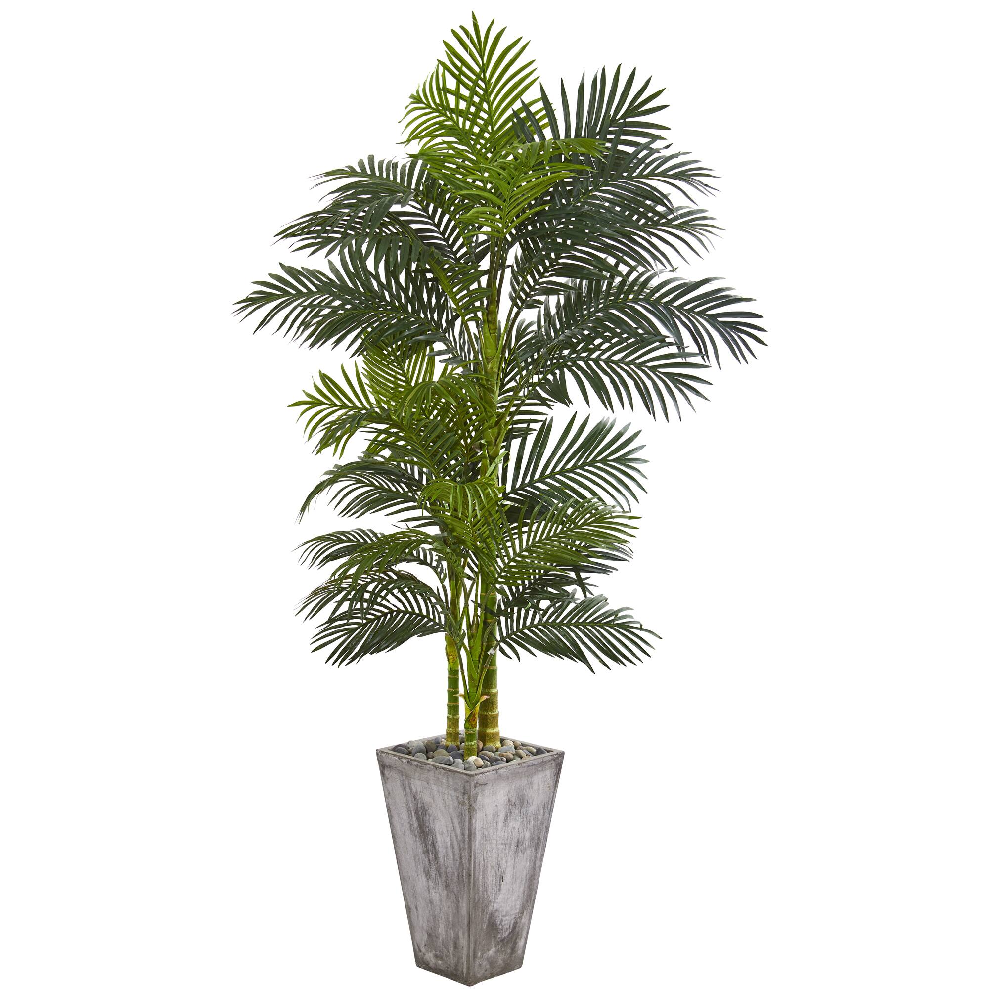 7ft. Golden Cane Palm Tree In Cement Planter